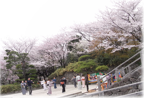 東京 江戸 桜の名所として知られる飛鳥山公園 